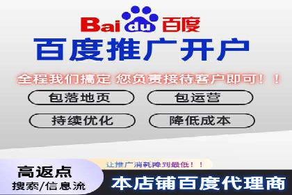 某科技公司SEM策略调整，实现业务快速增长